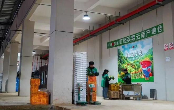 體育博彩:叮咚買菜投蔬菜産地倉