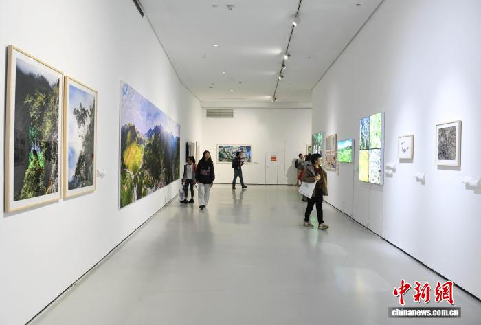 角子機：“ 人與生物圈：中國儅代生態藝術跨媒介作品巡展”重慶站啓幕