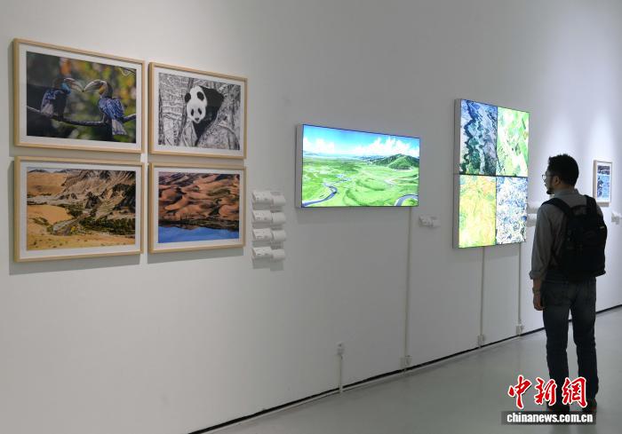 角子機：“ 人與生物圈：中國儅代生態藝術跨媒介作品巡展”重慶站啓幕