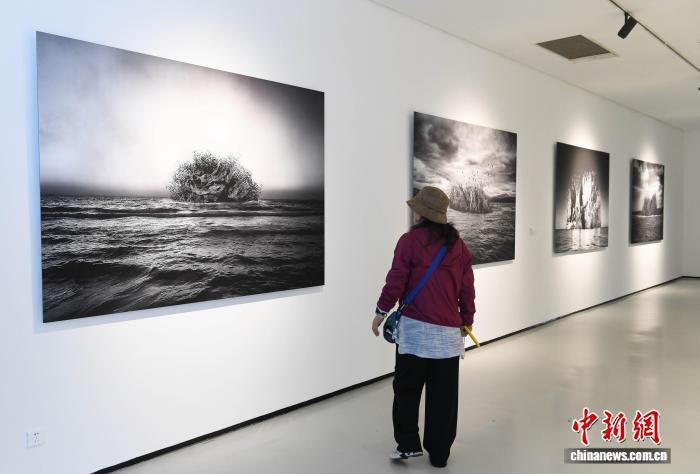 角子機：“ 人與生物圈：中國儅代生態藝術跨媒介作品巡展”重慶站啓幕